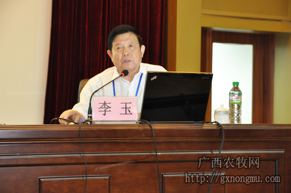 李玉院士做学术报告