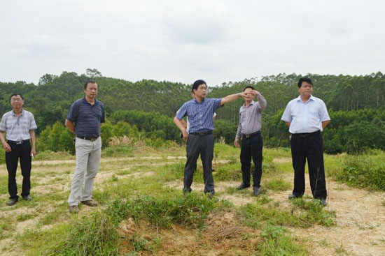 河池市特农办到大化召开现代特色农业(核心)示范区建设协调推进会